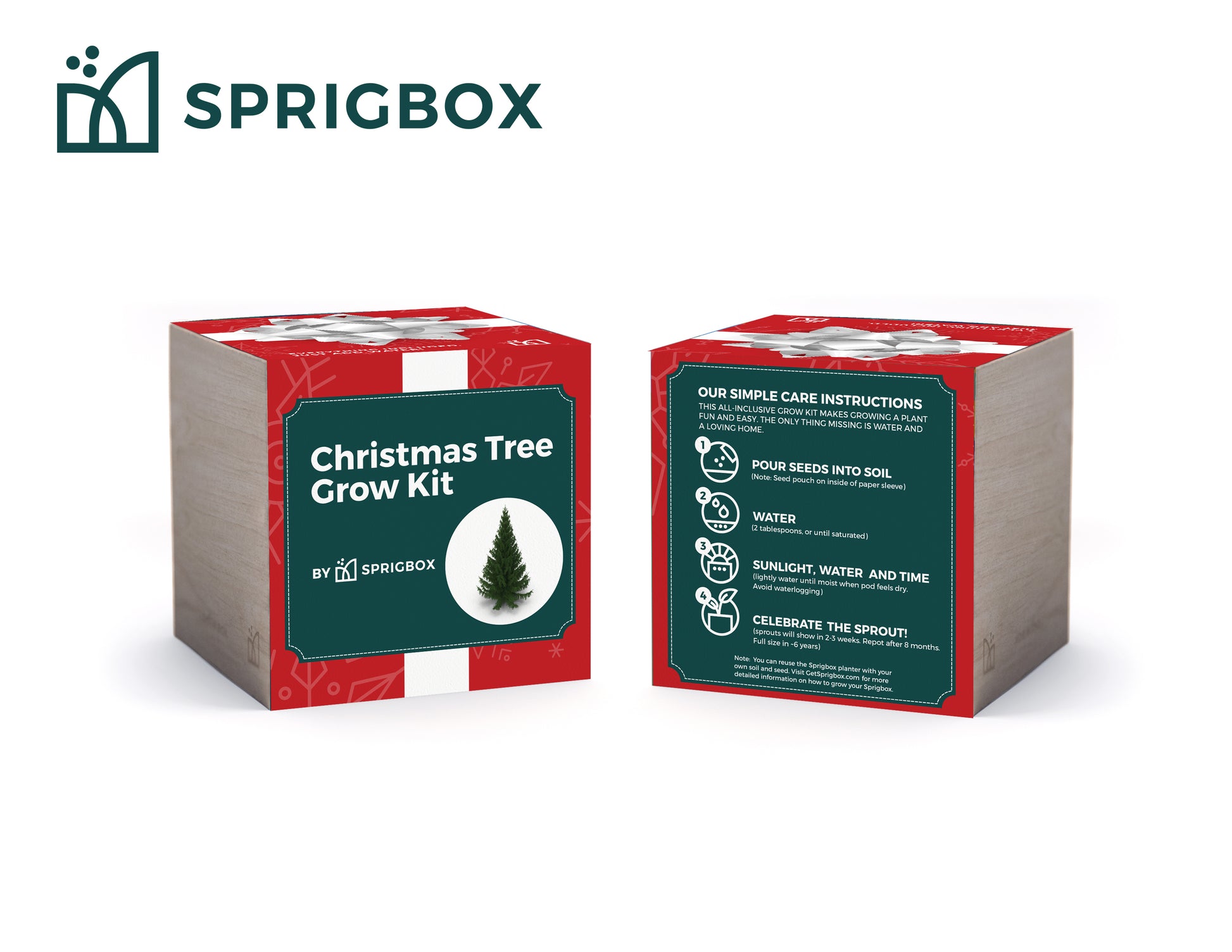 Grow Kit - Christmas Tree - Sprigbox
