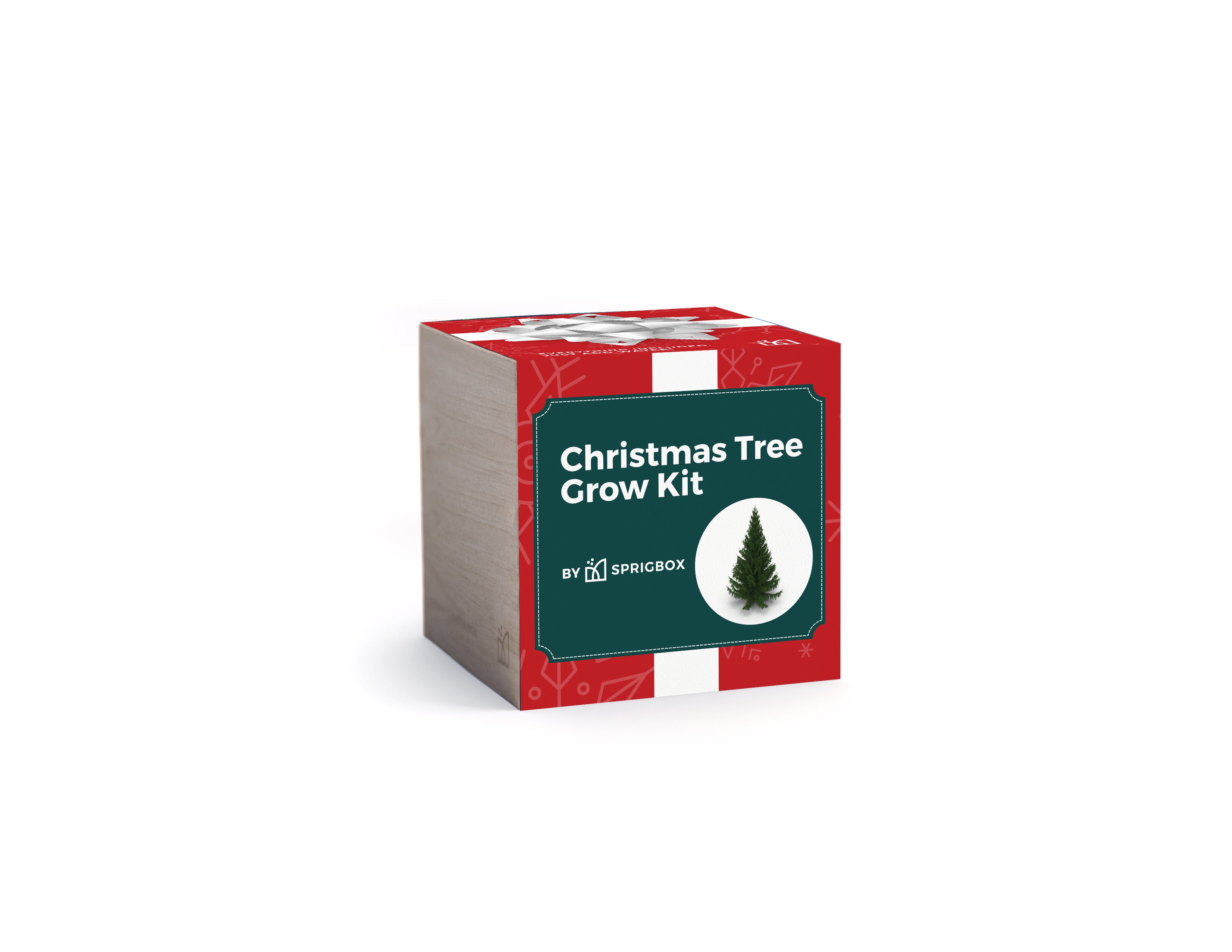 Grow Kit - Christmas Tree - Sprigbox