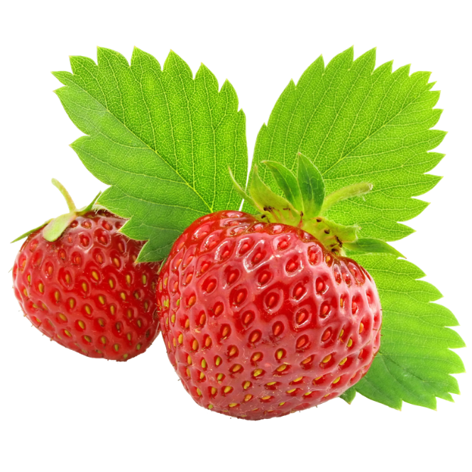 Grow Kit - Strawberry - Sprigbox